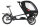 CHIKE "E-Kids" - E-Lastenrad, Lastenpedelec, Shimano "E6100 CRG" Mittelmotor, 250W/504 Wh, Shimano Nexus "DI2" 5-Gang mit Gates Riemen, Tektro hydrl. Scheibenbremse, Modell 2024