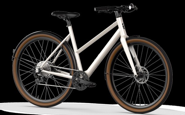 ergometer fahrrad kaufen Ergo-Fit Cycle 3000 S MED: gebraucht Head circumference:61 - 62 cm Rockrider E-Expl 700 im Category:E Bike_Shimano Nexus SL C7000 5  Revoshift